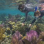 Father and son snorkeling at Fort Jefferson