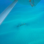 Sunken Ship View from Seaplane