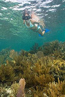 Snorkeling Lady in Blue Bikini in Gulf of Mexico